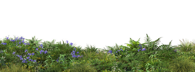 Forest foreground on a transparent background
