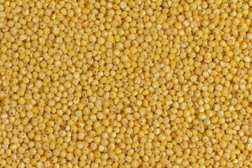 Millet groats background. Top view, close-up.
