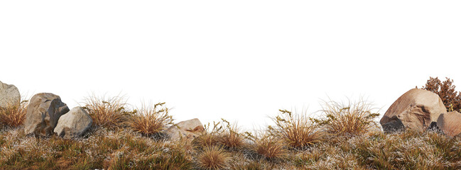 Autumn forest on a transparent background
