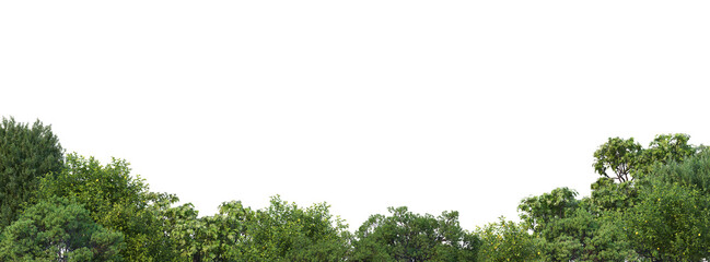 Obraz premium Forest foreground on a transparent background 