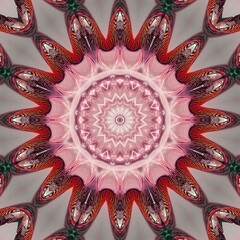 The beauty of the abstract texture of the unique and vintage art of flowers
 blooms with the Latin name lilium oriental. Pink kaleidoscope color concept and seamless pattern