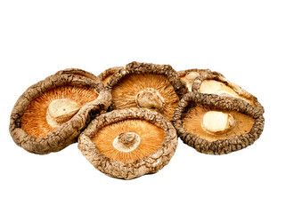 dried shiitake mushroom isolated on a white background,element of food healthy nutrients and herb healthy concept