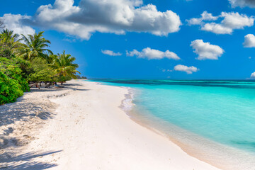 Summer travel background. Exotic tropical beach island, paradise coast. Palm trees white sand,...