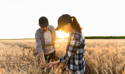 Couple of farmers examines the field of cereals and sends data to the cloud from the tablet. Smart farming and digital agriculture.