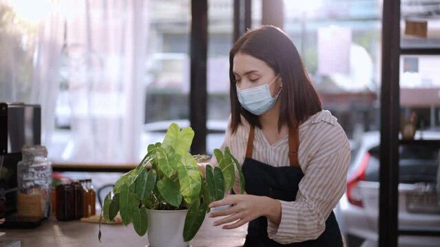 Caucasian beautiful owner wear face mask water the plants in coffee shop. Young attractive business woman or waitress decorate cafe restaurant and spraying water on green leaf inside coffeehouse.