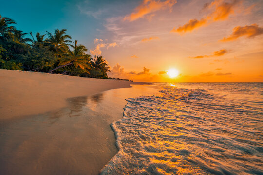 Beautiful panoramic sunset tropical paradise beach. Tranquil summer vacation or holiday landscape. Tropical sunset beach seaside palm calm sea panorama exotic nature view inspirational seascape scenic