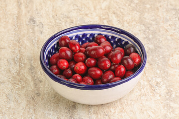 Ripe sweet tasty cranberry in the bowl