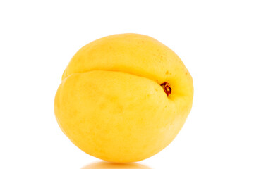 One bright yellow juicy pineapple apricot, macro, isolated on a white background.