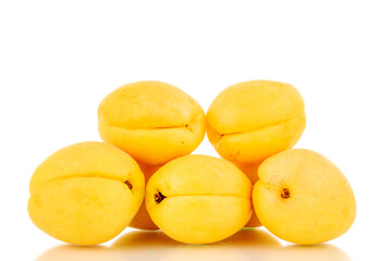 Fototapeta na wymiar Several bright yellow juicy pineapple apricots, macro, isolated on a white background.