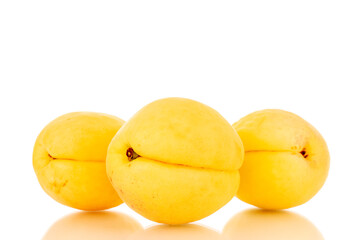 Three bright yellow juicy pineapple apricots, macro, isolated on a white background.