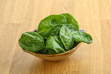 Fresh green spinach leaves in the bowl