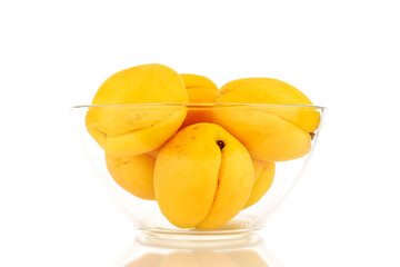 Several bright yellow juicy pineapple apricots in a glass bowl, macro isolated on a white background.
