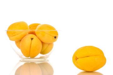 Several bright yellow juicy pineapple apricots in a glass bowl, macro isolated on a white background.