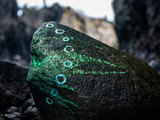 rock with green spots