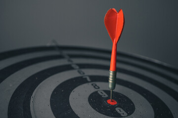 Bullseye is a target of business. Dart is an opportunity and Dartboard is the target and goal. So both of that represent a challenge in business marketing as concept.	
