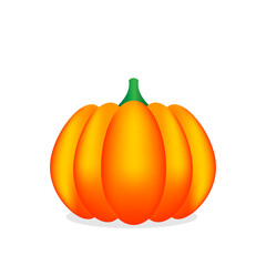 Simple pumpkin isolated on white background. Realistic vector illustration of autumn pumpkin EPS10