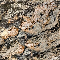 Spectacular granite with contrast pattern. Seamless square background, tile ready. Natural texture of granite, glossy texture of stone for wall tiles and floor tiles, rustic. Matt pattern of stone.