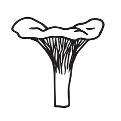 doodle drawing of a chanterelle mushroom on a white background