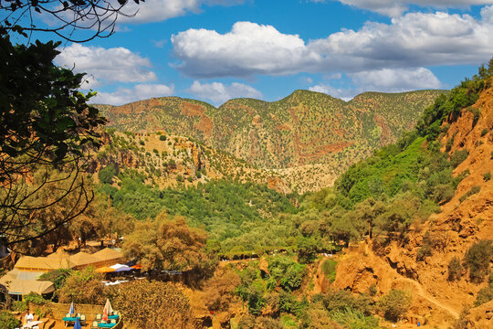 Beautiful scenic idylic moroccan mountain valley landscape, green cedar trees -  Ourika valley, Atlas mountains, Morocco