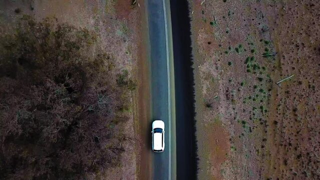 Aerial Top Beautiful Shot Of Car Moving On Road, Drone Flying Forward Over Trees - Brisbane, Australia