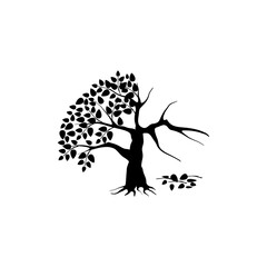 half dead and wither tree and vector illustration, molt tree, drought tree vector