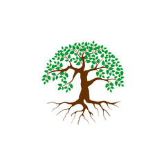 Tree and roots logo design vector isolated. on white background