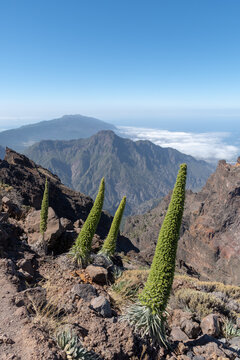 Vistas desde la cima Roque de los muchahos, Islas canarias, La Palma 
