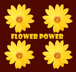 Floral greeting card design