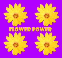 Floral greeting card design