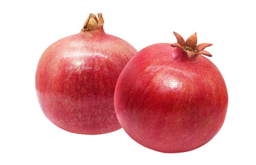 ざくろ 柘榴 イラスト リアル セット