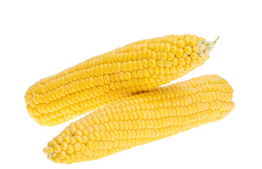 corn isolated