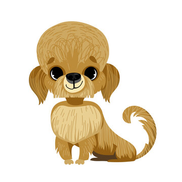 Vector cartoon cute funny dog. Breed dandie dinmont terrier