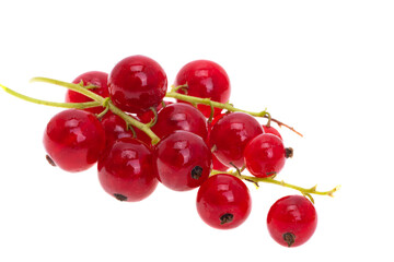 currant isolated