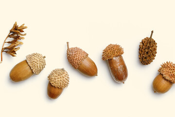 Acorns pattern from painted golden color on beige background. Autumn time minimal concept. Fall...