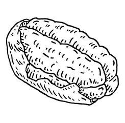 Pecan half shelled. Vector engraving black vintage illustration.