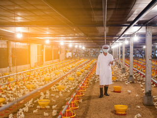 The woman with white cloth in the chicken farming business
