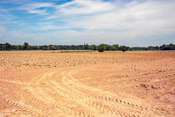 Ploughed fields in the summertime.