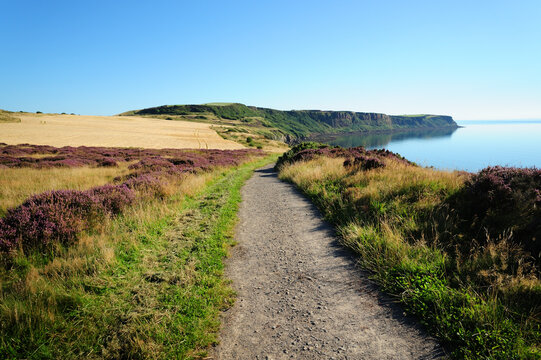 A clifftop scene outside Whitehaven, Cumbria, England