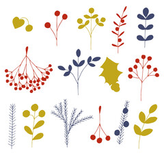 Christmas berries and plants set vector illustration, hand drawing