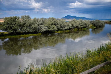 Rainstorm clouds with mountains in the marsh