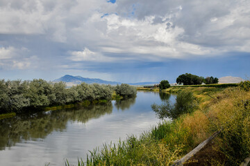 Mountains and marsh surrounded with trees