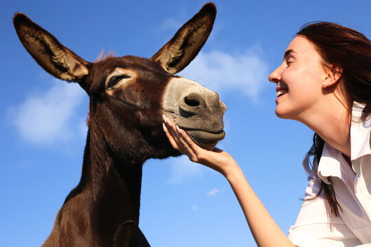 Portrait of Best Friends, Young Girl and  brown cute Donkey