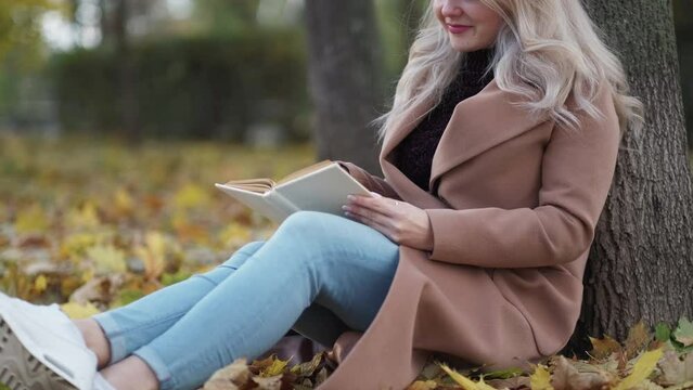 Interesting book. Happy woman. Autumn relax. Beautiful smiling lady reading sitting on ground with leaves leaning tree slow motion.