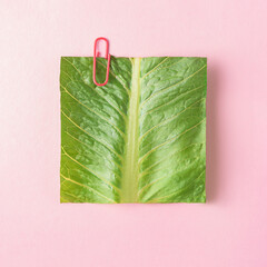 Creative concept of a healthy lifestyle or health diary. A square green leaf of lettuce with a...
