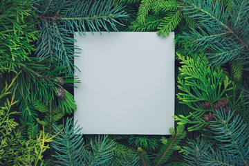 Creative christmas mock-up of pine and juniper branches with a white blank card.