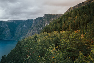 Norway. Few hours north from Bergen. Fjords and mountains in summer time (August)