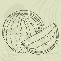 watermelon drawing by one continuous line, on abstract background vector