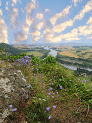 View from Kinnoull Hill, Scotland