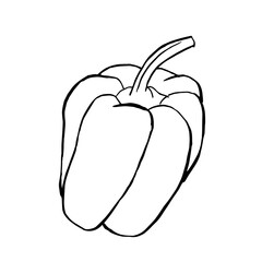 Set simple sketch peppers black line isolated on white background. Doodle, Vegetables.