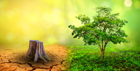 tree in two  with very different environments Earth Day or World Environment Day Global Warming and...